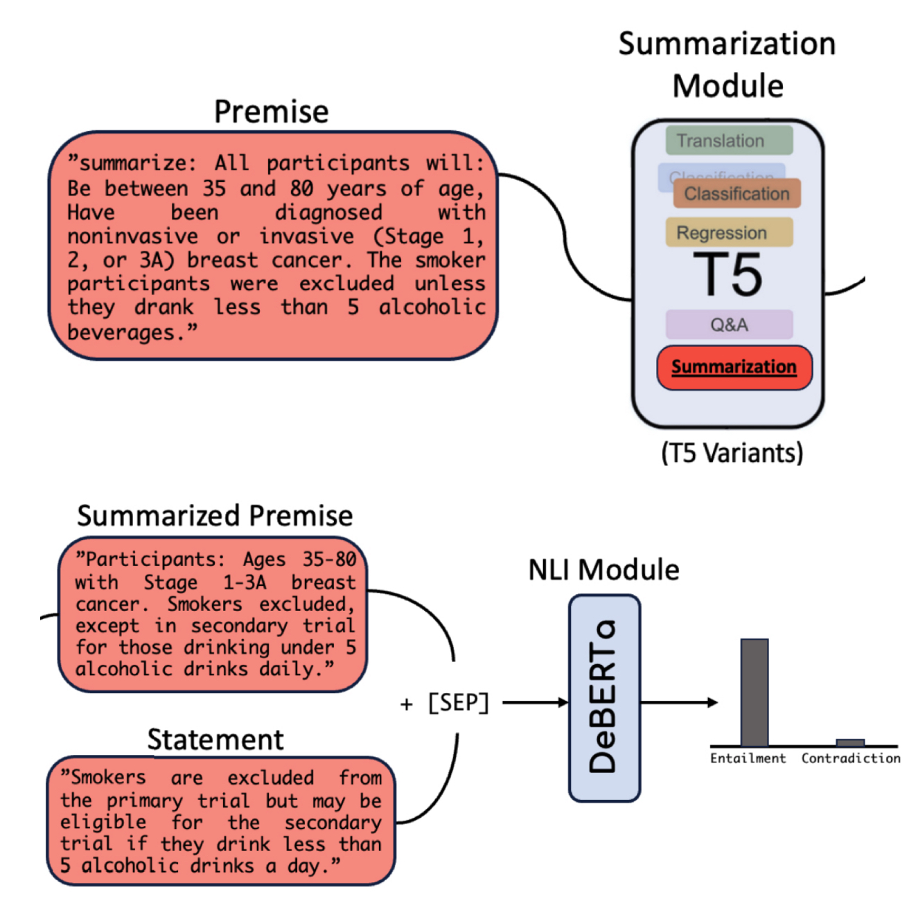 Clinical-language summary project illustration